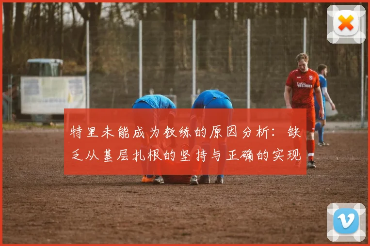 特里未能成为教练的原因分析：缺乏从基层扎根的坚持与正确的实现方式