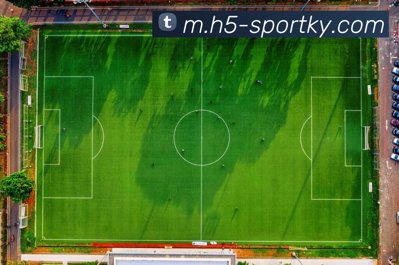 开云体育平台生态图