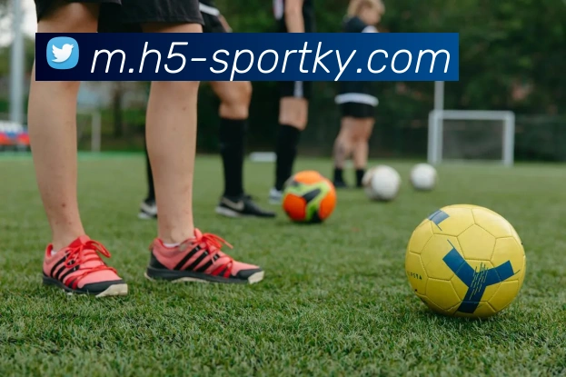 开云体育APP 封面图